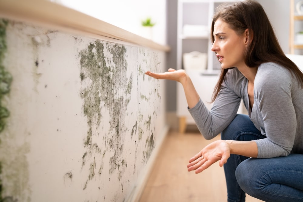 Mold & Leak Issues