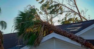 Roof & Wind Damage